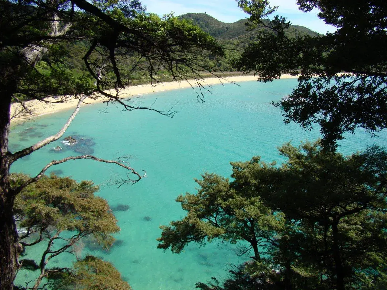 Abel Tasman National Park Francis and Kristina · 08