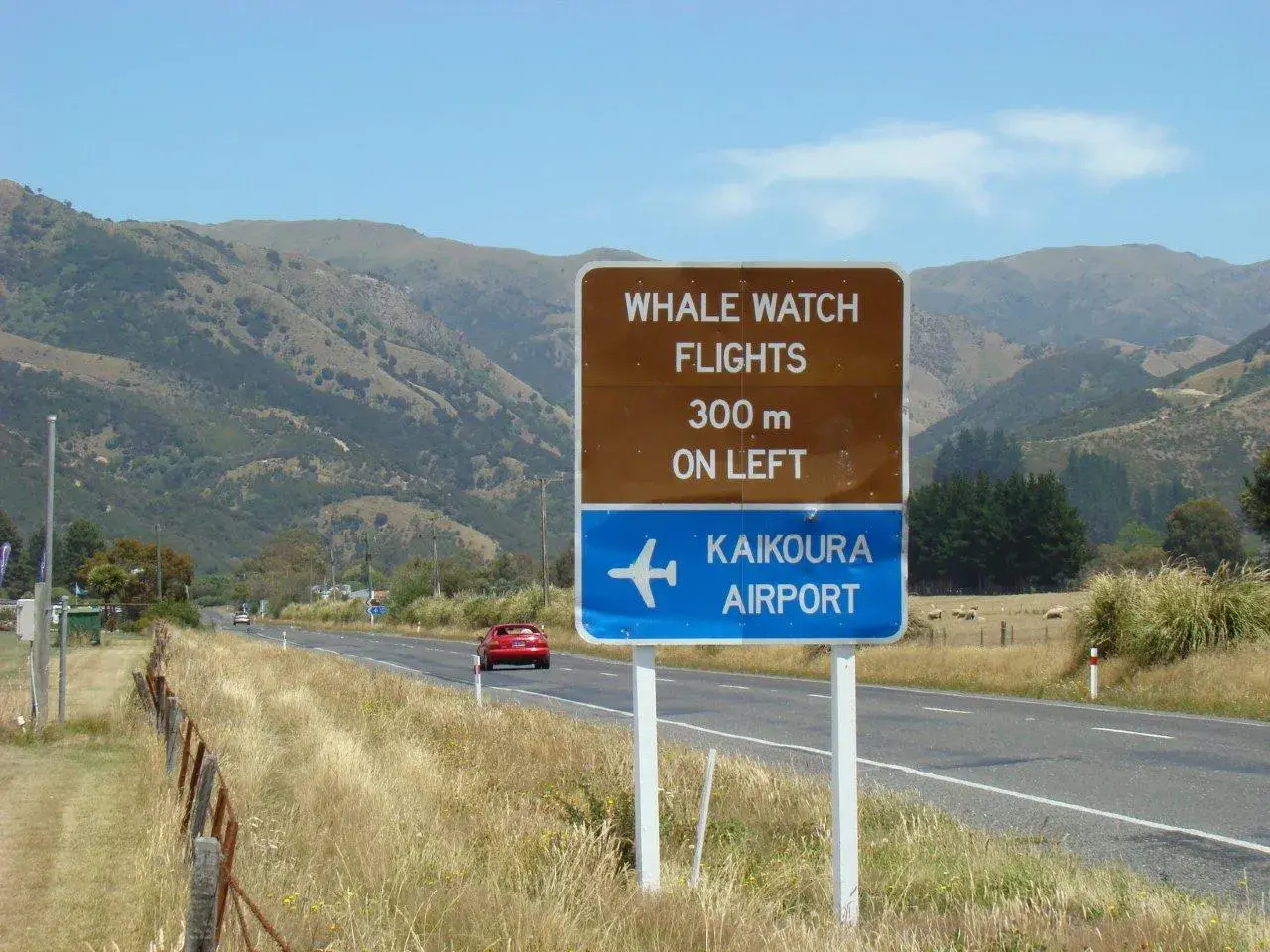 Kaikoura Signpost · Francis and Kristina · Jan 08