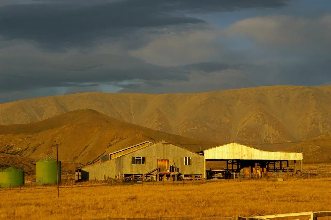 Evening light · Geordie Hill woolshed · John and Kathy · Mar 09