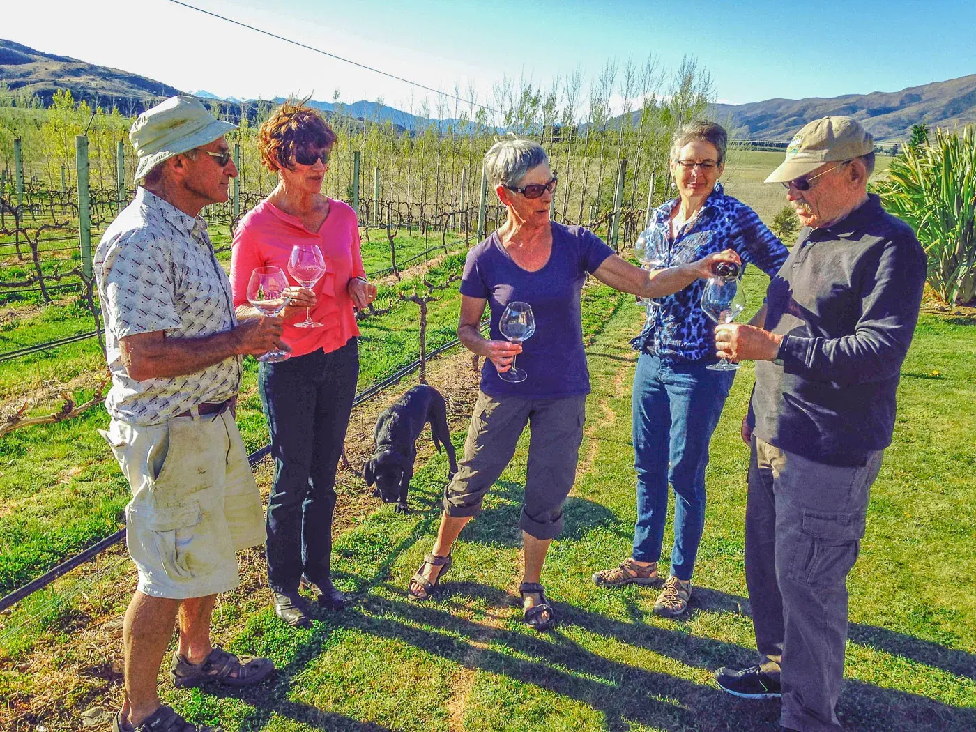 Maori Point Vineyard wine tasting