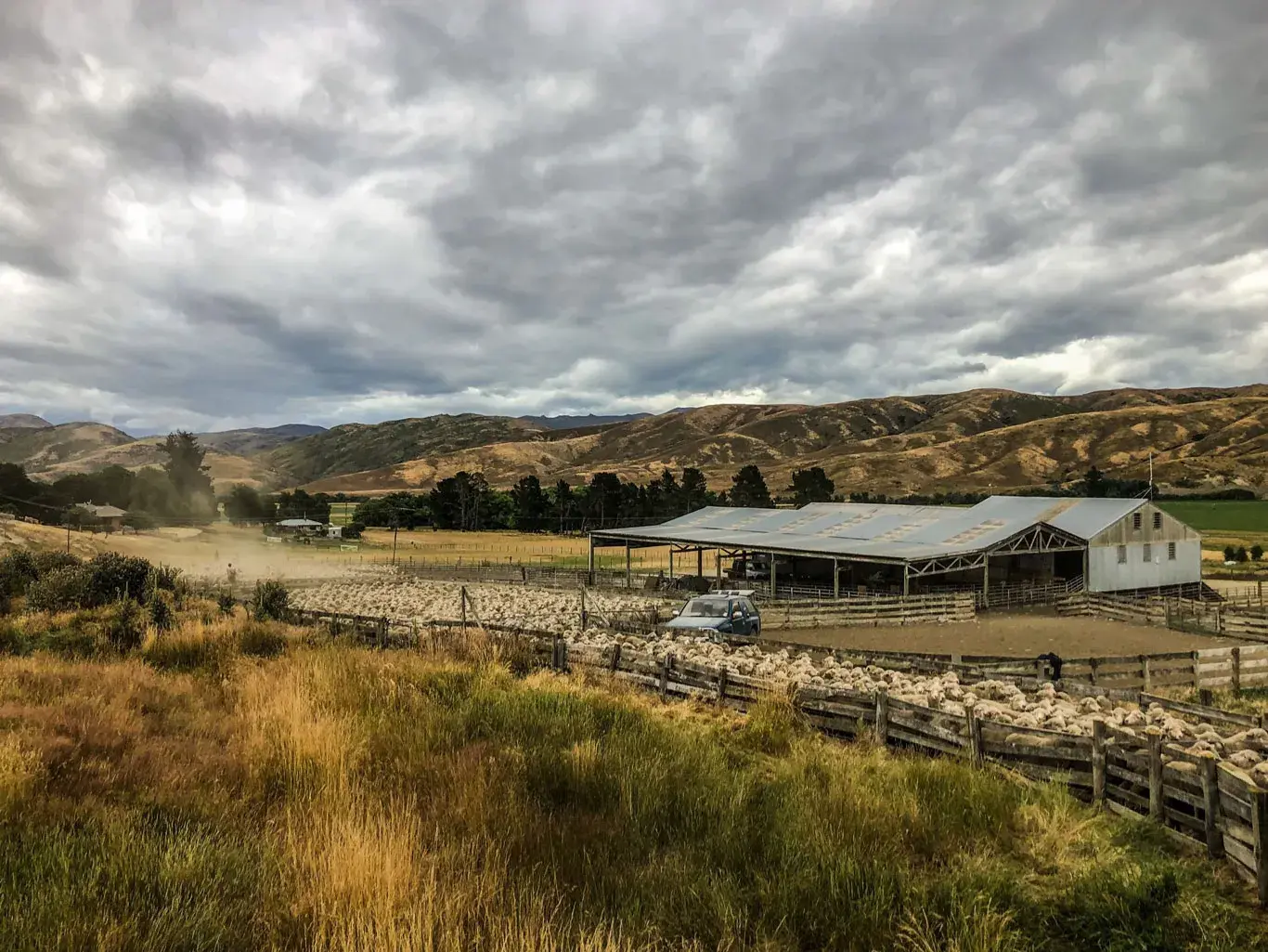 Farm tour Geordie Hill
