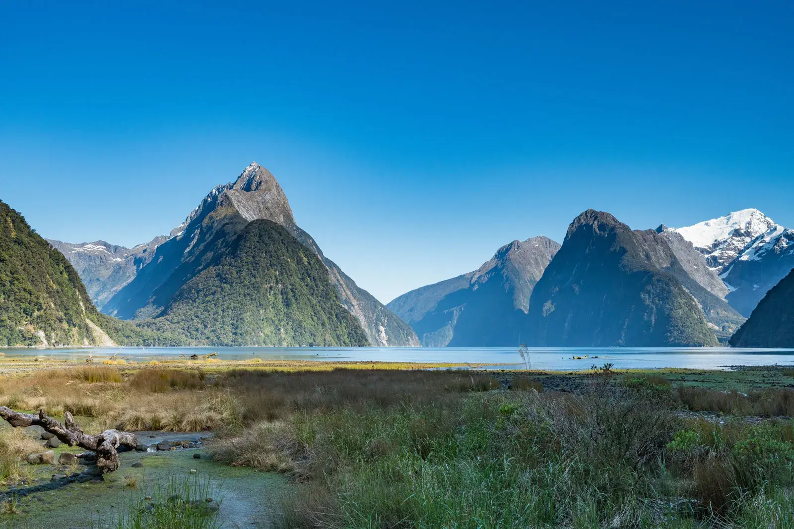 Fiordland Explorer Tour scenic flying