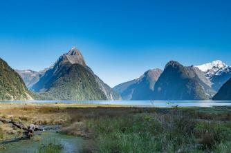 Completely Milford Sound