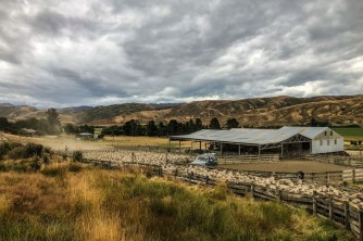 Farm tour Geordie Hill