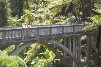 Guests on the historic Bridge to Nowhere2. Matt. Dec 10