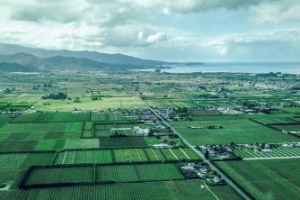 Motueka Airfield and surrounds