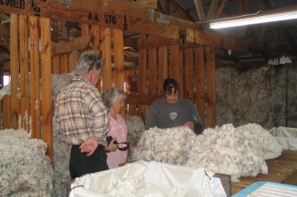 Visitors learning about Merino Wool and wool classing2. Geordie Hill Woolshed. Matt and Jo. Sept 06