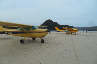 WAX and TRS on beach at Spit Island Southern Fiordland2. Matt. Feb 11