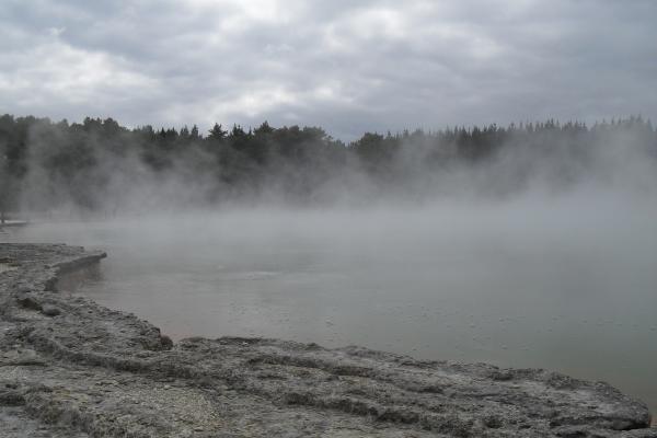 rotorua geysers