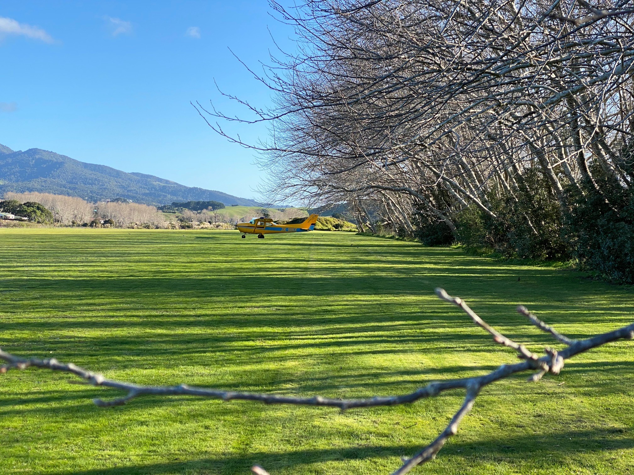 WAX parked. Raglan
