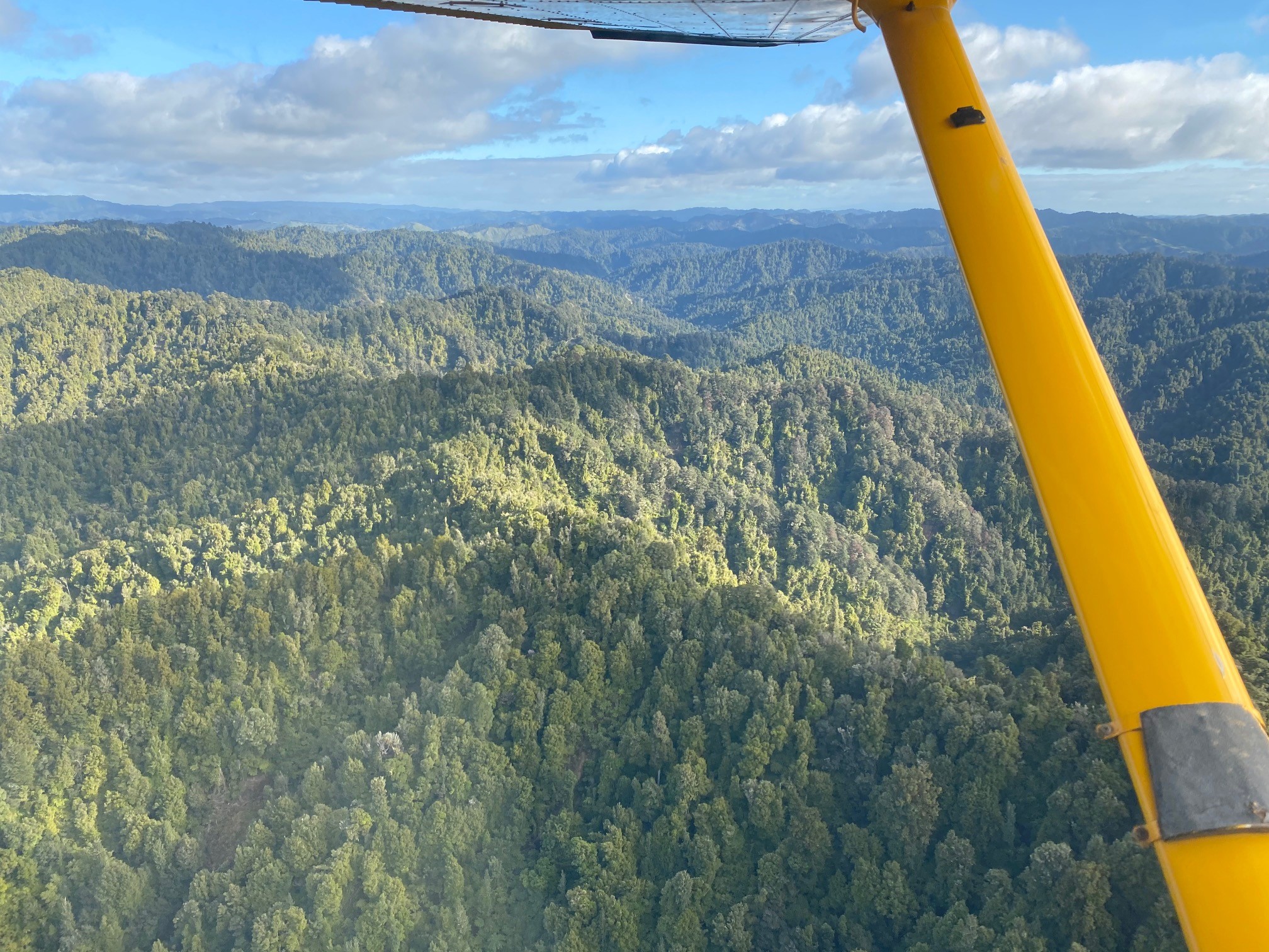 Whanganui River Country